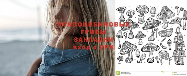 дурь Богородск
